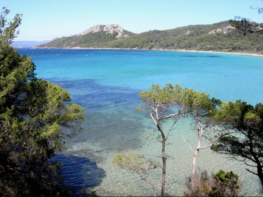 Superbe T2 Proche Des Plages Et Des Commerces Hyères Dış mekan fotoğraf